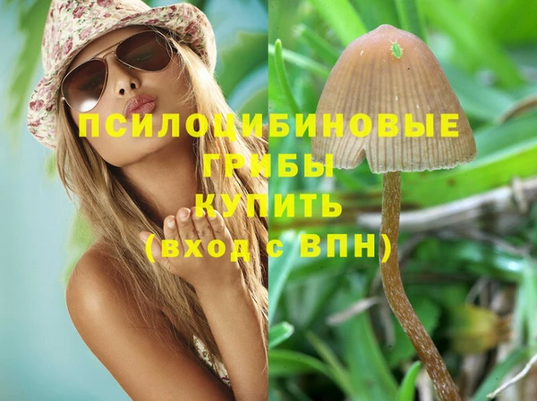 ешки Нефтегорск