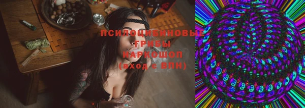 ешки Нефтегорск